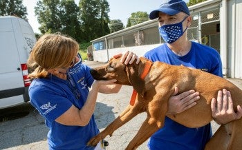 Rescue in the field
