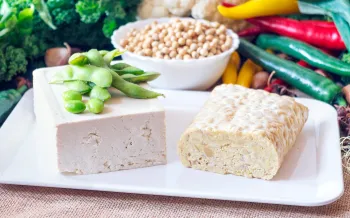 A plate of tofu and tempeh surrounded by veggies.