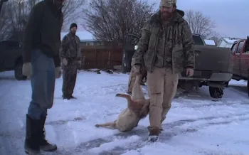 Oregon wildlife killing contest