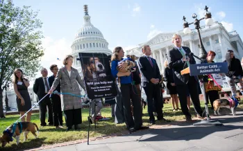A group of people holding dogs gather in front of a building for a rally. A large sign with a dog's face and the text "Will you help me?" is displayed