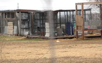 Outdoor dog kennels in poor condition 