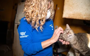 Kitty with cat at rescue