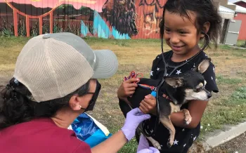 Veterinarian assisting a young girl holding her pet