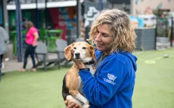 Woman holding and petting a beagle
