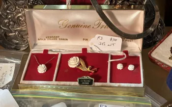 A "Genuine Ivory" labeled pendant, pin, and earrings that sold for $110