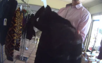 A person holds a fur coat