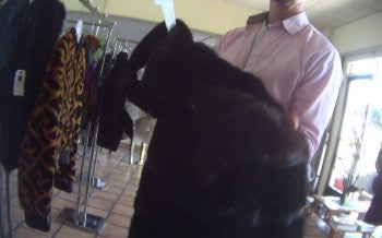 A person holds a fur coat