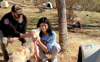 Dog shelters delivered in Tennessee