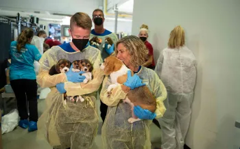 Kitty Block carries a beagle