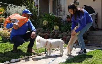 A man kneels down to greet a dog