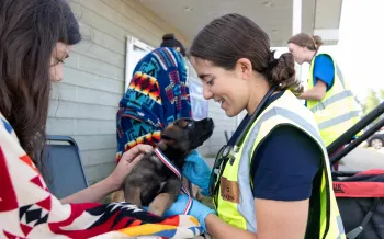 Puppy at a vet clinic