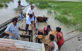 Assam Floods India
