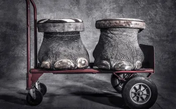 Legs that might have carried an African elephant from one watering hole to another sit on a dolly in the National Wildlife Property Repository as step stool trophies. Roughly 100 years ago, an estimated 10 million elephants roamed Africa. Now it’s a little over 415,000.