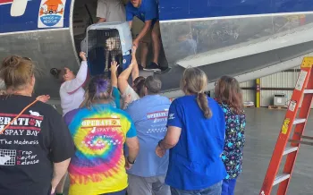People load a dog onto a plane
