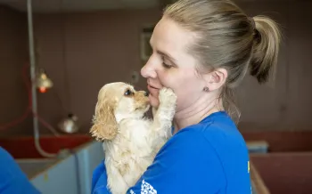 Puppy touching rescue team member's face