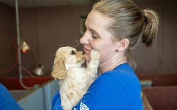 Puppy touching rescue team member's face