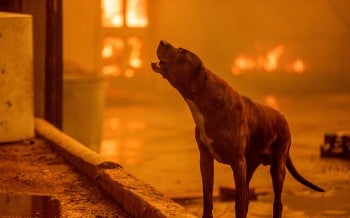 California Wildfires - 2025