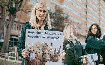 Taking action for animals