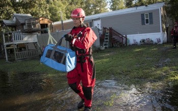 Animal Rescue Team in South Carolina during Hurricane Florence