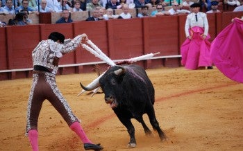 Bullfighting