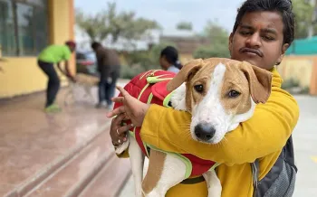 Browny with owner in Lucknow, India