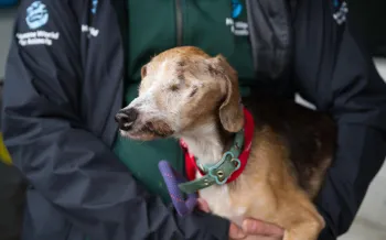 Humane World for Animals assists Ohio authorities with a large-scale multi-species alleged neglect case