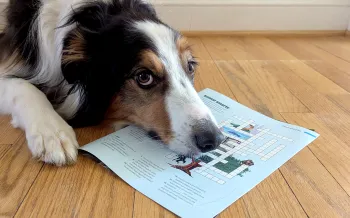 A dog laying on a wood floor with his snout resting on an issue of All Animals magazine.