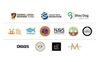 Proud partners in Taking Action for Animals