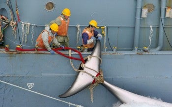 Whaling