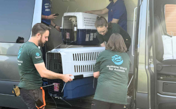 a group of people working together to load or unload large pet carriers from a van