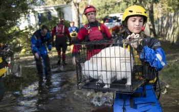 Staff members from the Humane Society of the United States Animal Rescue Team and the San Diego Humane Society work to rescue 12 cats from a flooded home in South Carolina after Hurricane Florence.