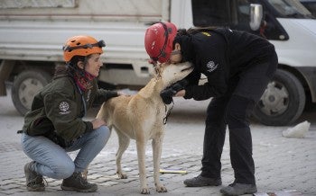 Humane Society International team members assess a dog they met as the team worked to rescue pets stranded in earthquake-damaged homes in Antakya. 