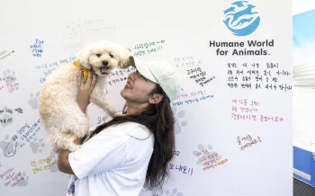Woman holding a dog in front of a board with handwritten notes.