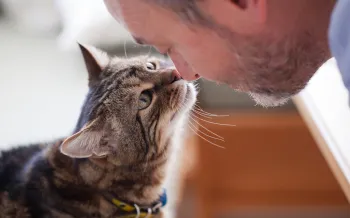 A man and his cat touch noses as a sign of affection toward one another