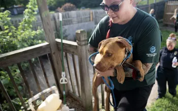 a person holding a dog