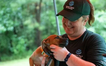 a person holding a young dog in their arms