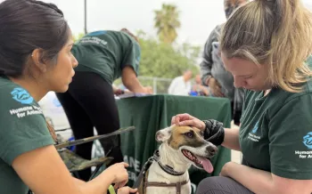 Humane Journeys staff visit Animal Brigade, a mock mobile clinic in Aguascalientes, and a partner shelter in Holbox to plan for the 2026 Humane Journeys donor trip.