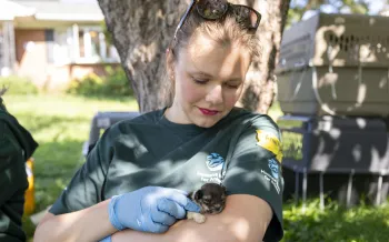 an animal rescue responder holding a small puppy