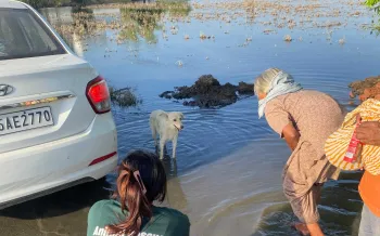 India's disaster response team is providing relief in some of the worst flood-affected regions of Punjab