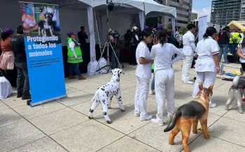 Hundreds in Mexico City attend mass first aid class for people and animals in disasters