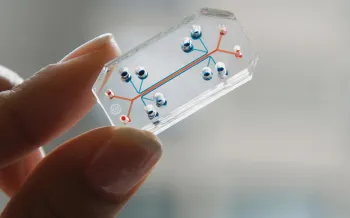 Lung chip in hand