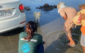 India's disaster response team is providing relief in some of the worst flood-affected regions of Punjab.
