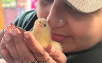a person holding a bird