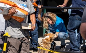 a person with a dog