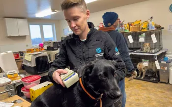 Humane World for Animals responds to typhoon Halong in Western Alaska by assisting with shelter work at Bethel Friends of Canine