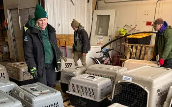 Response to typhoon Halong in Western Alaska