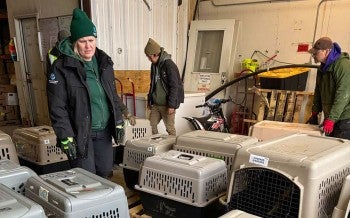 Response to typhoon Halong in Western Alaska