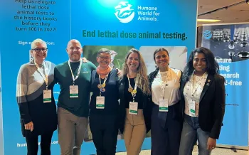 a group of people standing