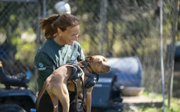 a woman carrying a dog