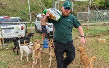 a man holding a bag of food and walking with dogs